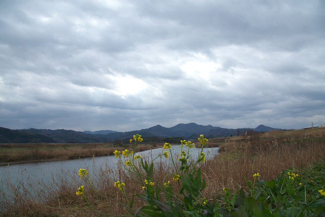 c0067040_22535983.jpg