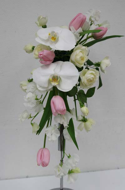 胡蝶蘭のCascade Bouquet_a0076043_1235100.jpg