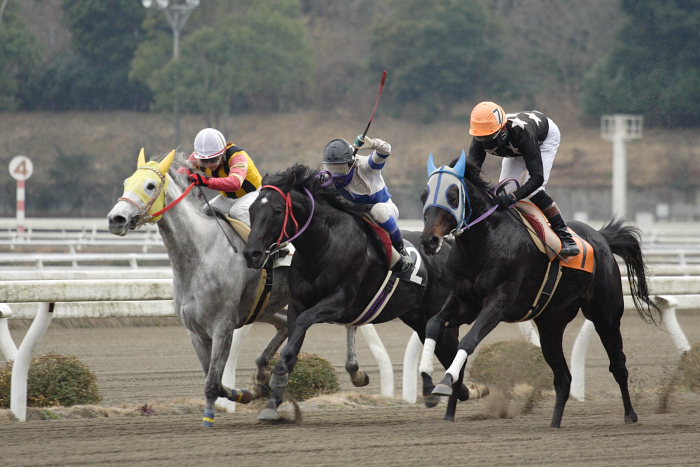 2007年1月21日（日） 高知競馬 7R 日々是好日特別_a0077663_192413100.jpg