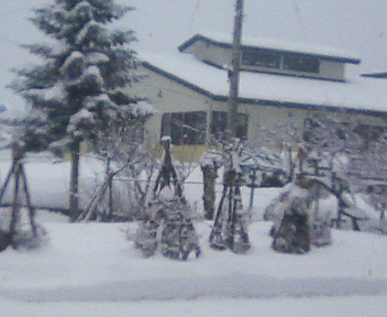 久しぶりの積雪_c0108174_1492130.jpg