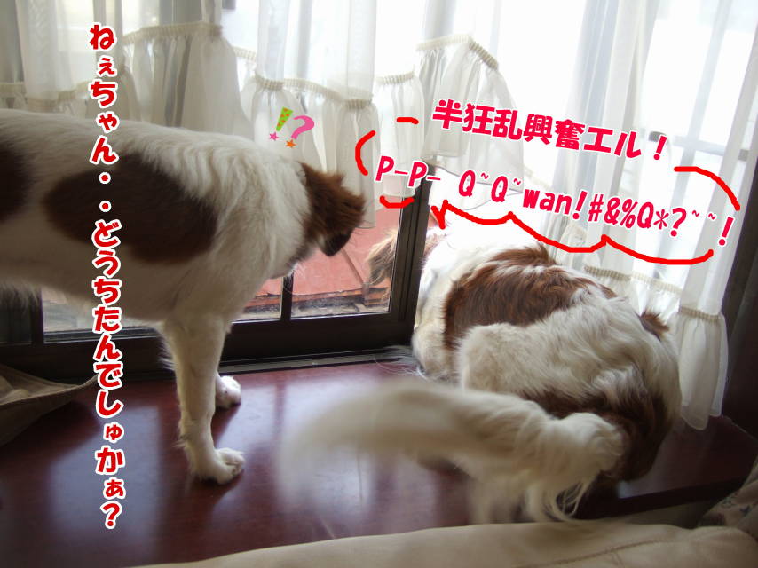c0075585_8561130.jpg