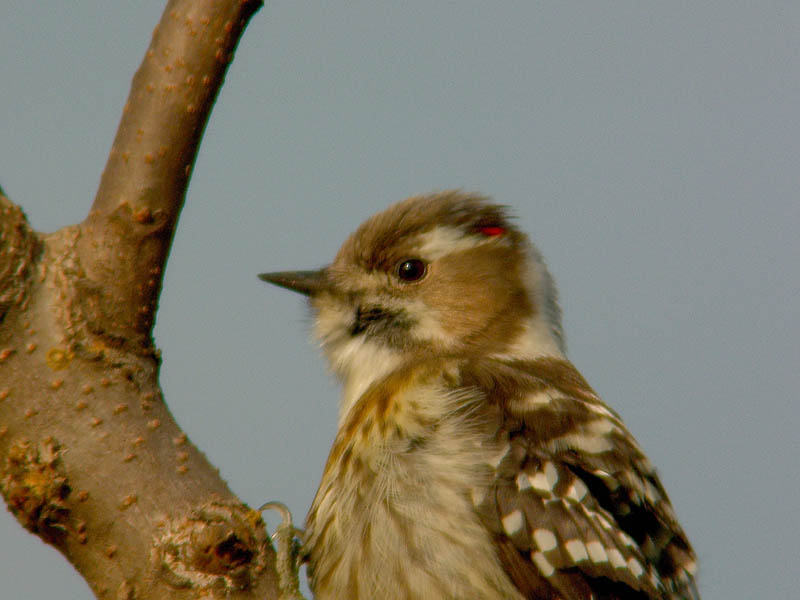 b0024798_601246.jpg