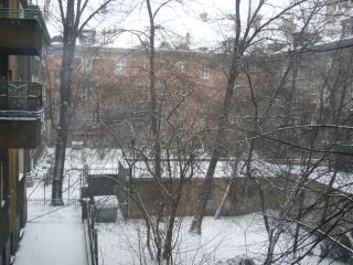 e0039206_23257.jpg