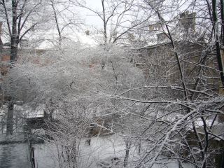 e0039206_23966.jpg