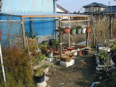 b0107310_910760.jpg