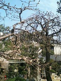 c0026612_23582033.jpg
