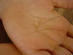 c0047812_2233066.jpg