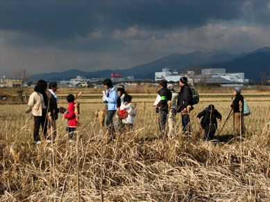 冬の田んぼの観察会2_d0032114_17541743.jpg