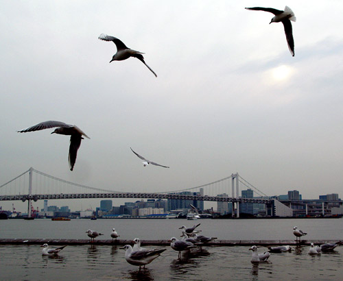 a0023315_2136294.jpg