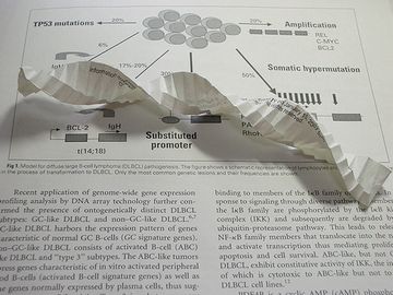 c0024552_15171314.jpg