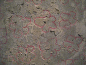 b0109256_2113449.jpg