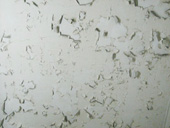 b0109256_26225.jpg