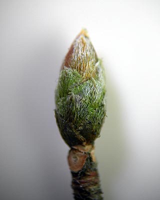 e0035757_23163598.jpg
