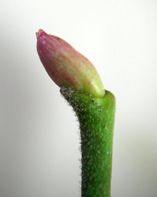 e0035757_23175717.jpg
