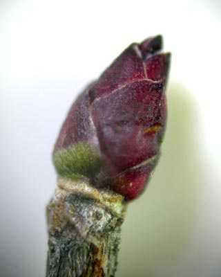e0035757_23181352.jpg