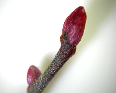 e0035757_23182126.jpg