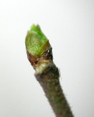 e0035757_2318633.jpg