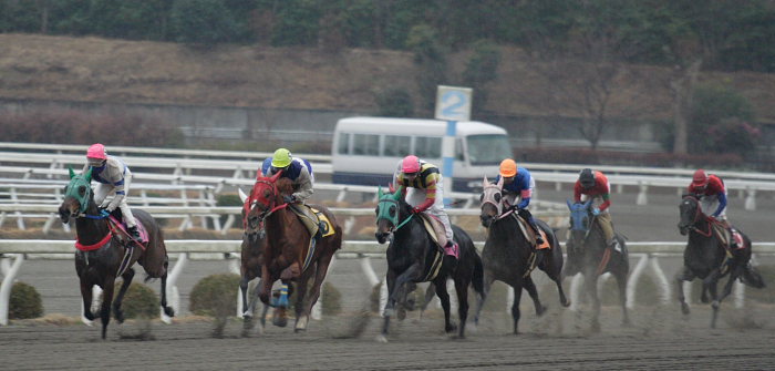 2007年1月21日（日） 高知競馬 11R_a0077663_13433050.jpg