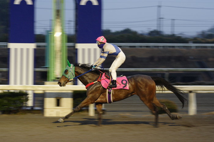 2007年1月21日(日) 高知競馬 11R_a0077663_13435738.jpg
