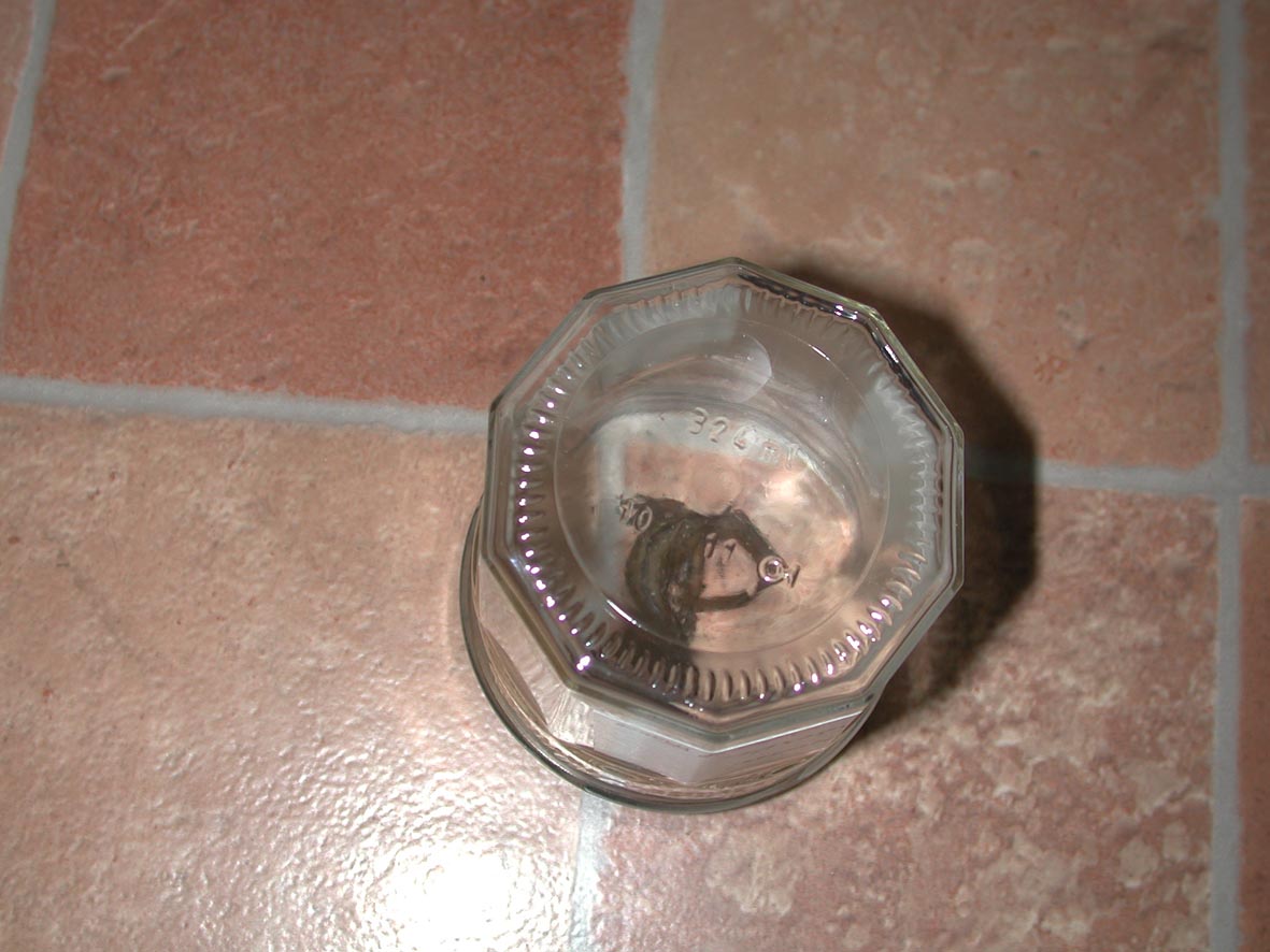f0080372_7225757.jpg