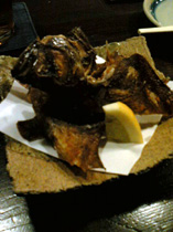 e0044080_1554327.jpg