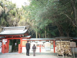 青島神社_e0066586_894913.jpg