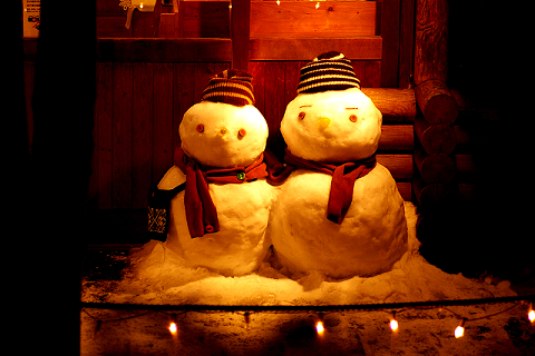 snowman_d0066488_041855.jpg