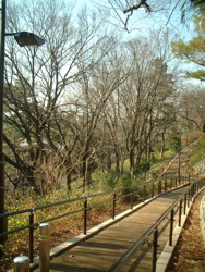 f0110089_0403049.jpg