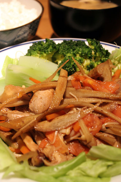 鶏肉とゴボウの麺つゆ煮_a0000800_2258199.jpg