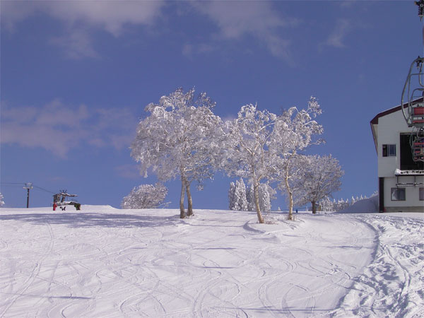 c0070528_23133372.jpg