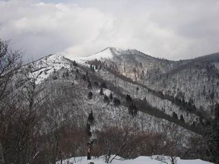 c0029332_23134611.jpg