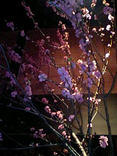 a0058433_0195044.jpg
