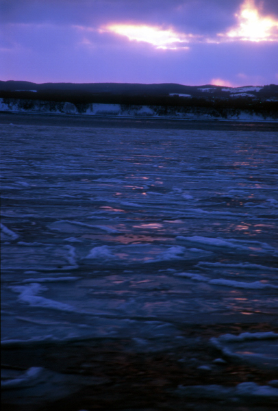 (19)北海道流氷紀行２００５_d0091834_1965460.jpg