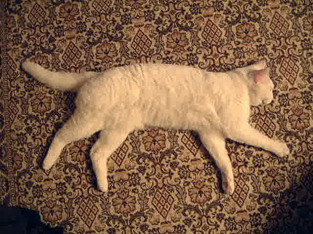 f0031535_18424753.jpg