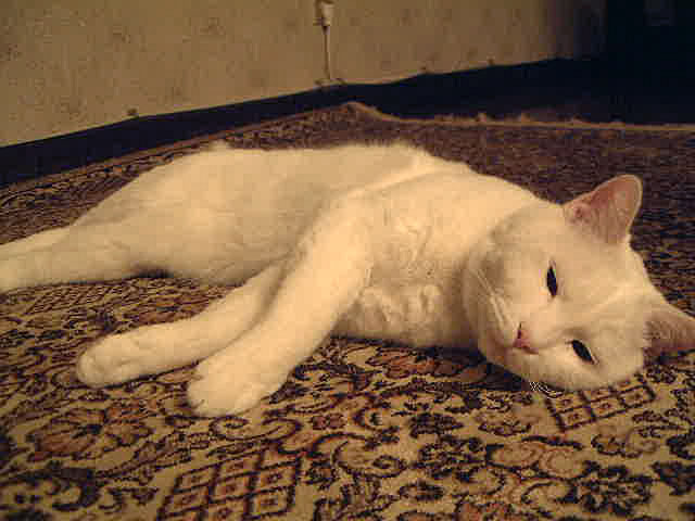 f0031535_18425417.jpg