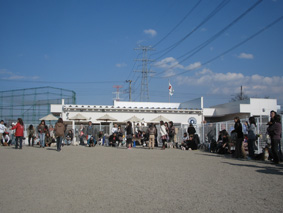 d0035436_22586.jpg