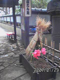 c0013438_20572817.jpg