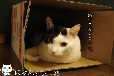 新しいお家を守らなきゃね_e0031853_13431819.jpg