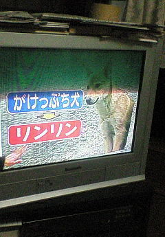 e0009760_12342753.jpg