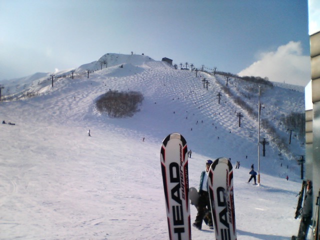 f0053060_8113197.jpg