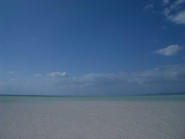 e0002690_332934.jpg