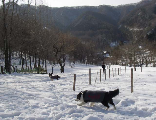 雪あったよー♪_f0114893_10242412.jpg