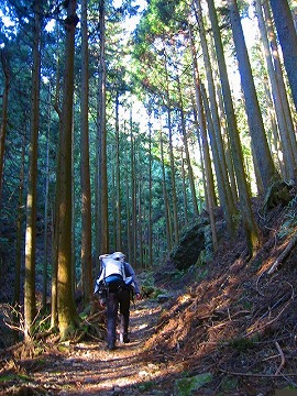 伊豆ヶ岳登山_a0036808_18261664.jpg