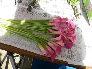 イベント準備_d0099708_2246318.jpg