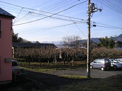 d0013610_10484485.jpg