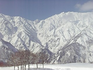 e0040312_23215389.jpg