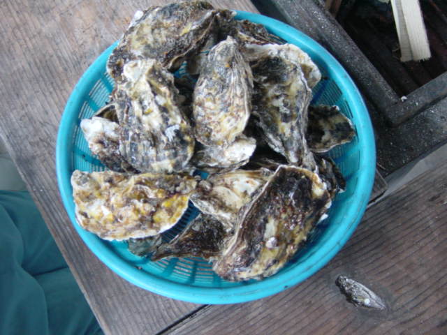f0110712_16373019.jpg