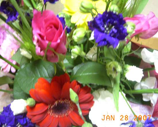 e0042626_15525855.jpg