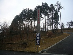 d0086228_14393593.jpg