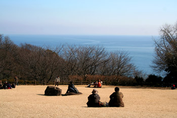 吾妻山公園の菜の花_f0002533_23383673.jpg